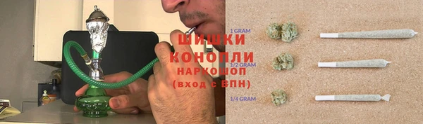 стафф Новодвинск