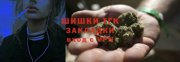 стафф Новодвинск