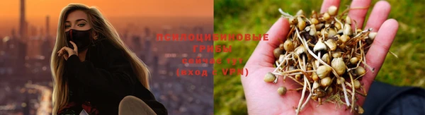 гашиш Новокубанск