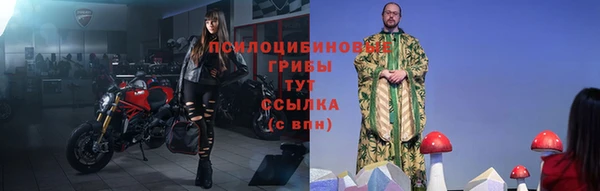стафф Новодвинск