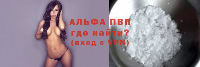 стафф Новодвинск