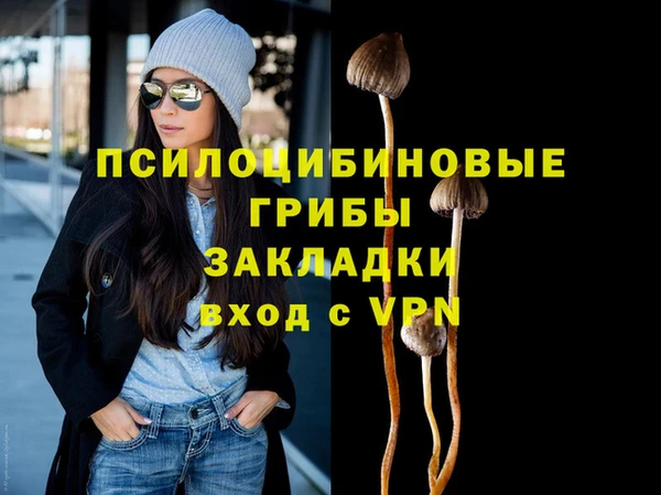 прущая мука Новозыбков