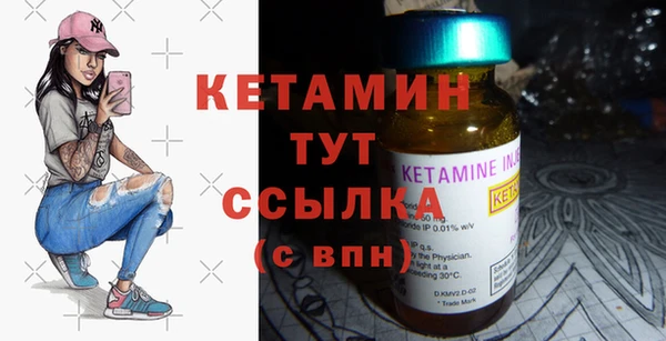стафф Новодвинск