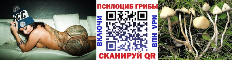 Галлюциногенные грибы MAGIC MUSHROOMS  Сергач 
